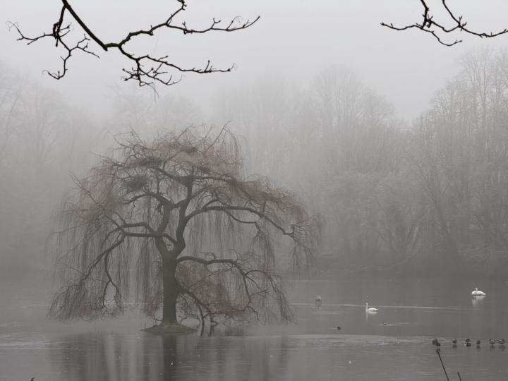 Ostpark Düsseldorf - Der Nebel des Grauens... :-)