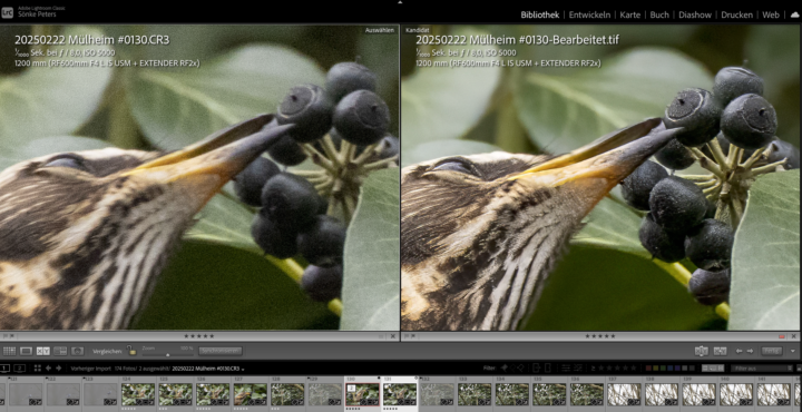 Wichtige Fotos mit Topaz PhotoAI retten (‼️Partnerlink‼️)