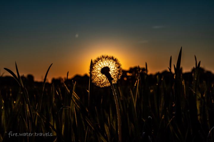 Den Sonnenuntergang mal ein wenig anders festgehalten.