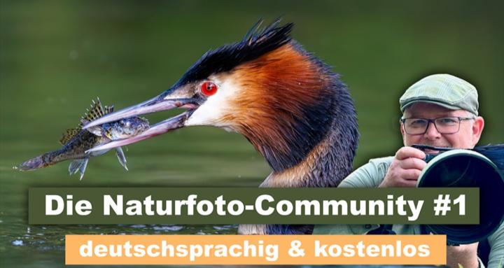 Die Naturfoto-Community #1