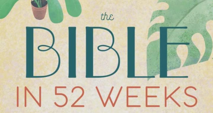 Bible in a Year - For Women