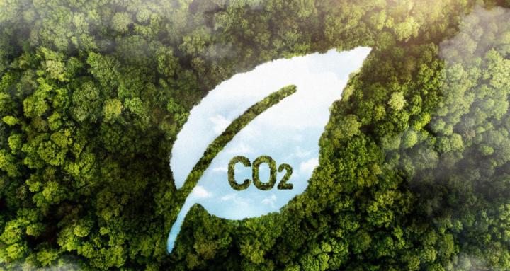 CO2-Kompensation