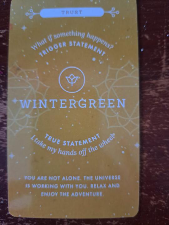 Wintergreen