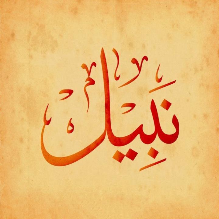 Nabil K