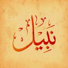 Nabil K