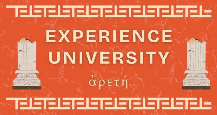 Experience University