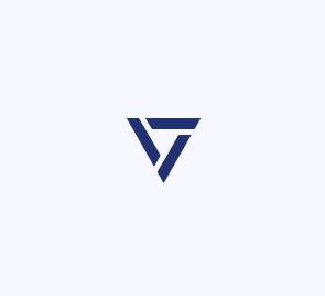 Vfg Performance