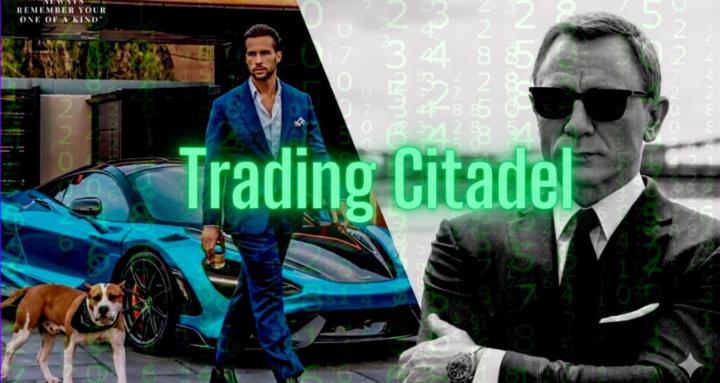 SeeTheCodes | Trading Citadel