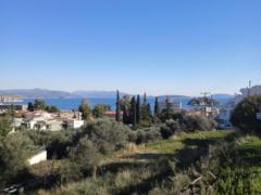 Ioannis Gogonas