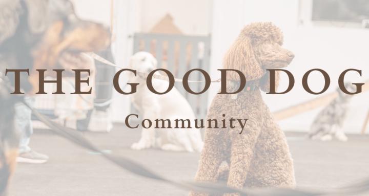 The Good Dog Classes