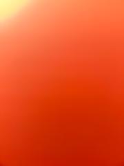 ابو سيف سيف