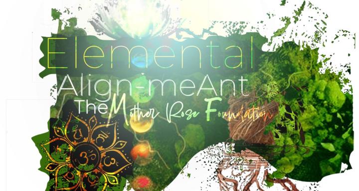 Wild Wellness Blossoms Classes