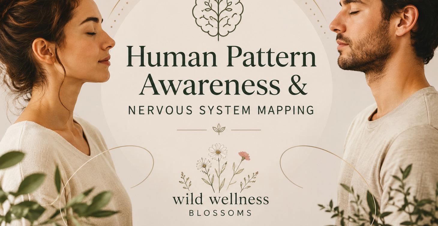 “Human Pattern Awareness & Nervous System Mapping”