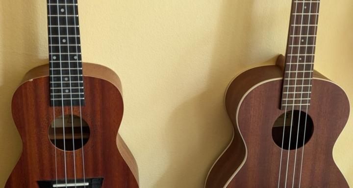 Ukulele Magic, play and sing!