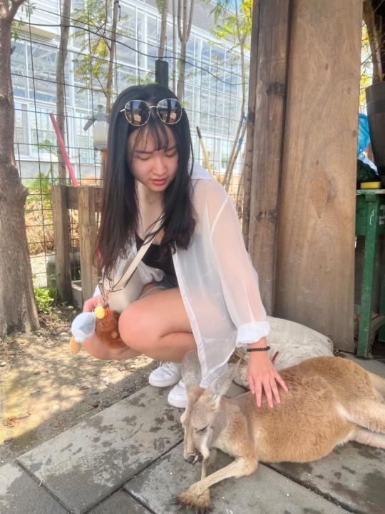 Liangyi Chen