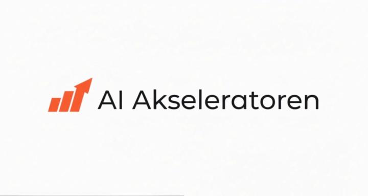 AI Akseleratoren
