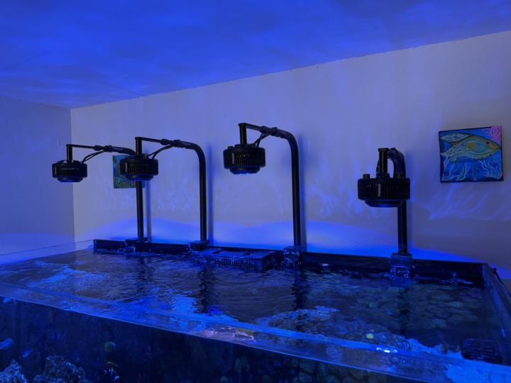 Kessil 360x issue