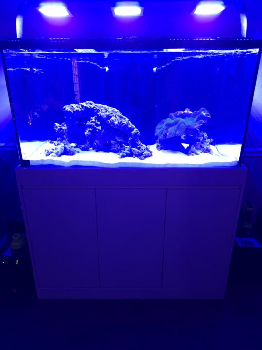 New Visio 120 gallon