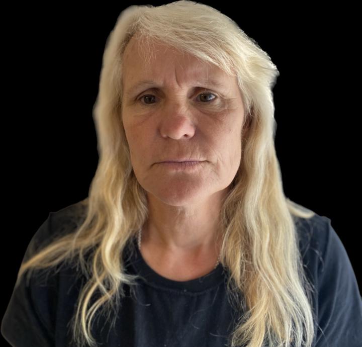 Ann Harmes