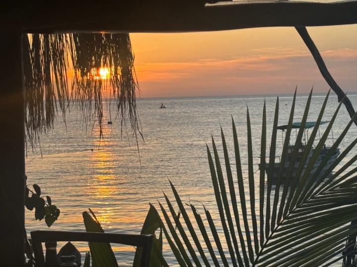 Miguel Rodriguez bonet