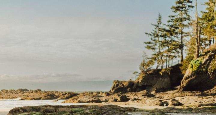 PNW Women's Collective