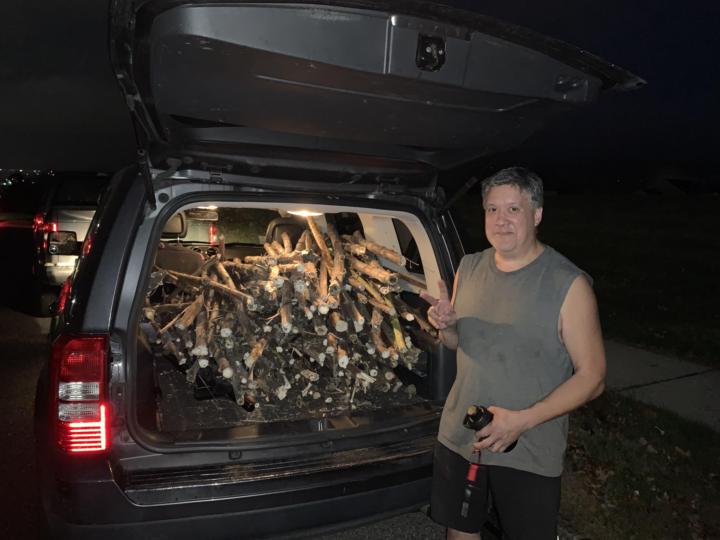 Years worth of (PS) Phyre Saw materials