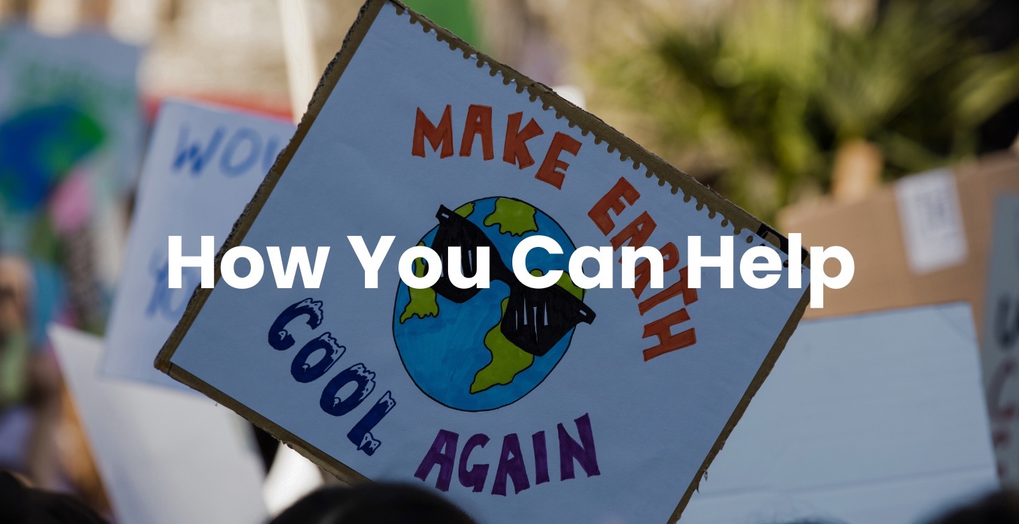 How You Can Help 🙌