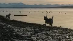 Heike Bennecke-Leder