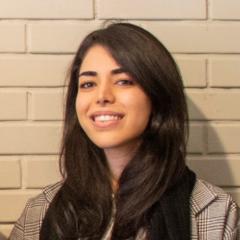 Shirin Shobeiri