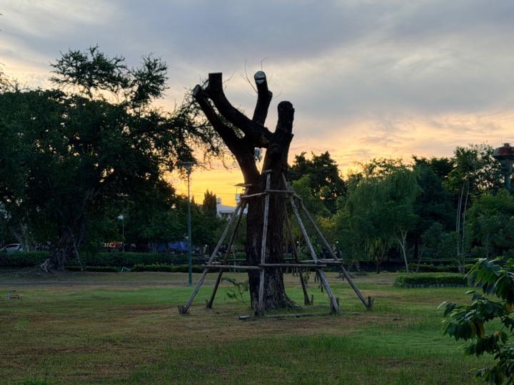 Sudaporn Tawapee