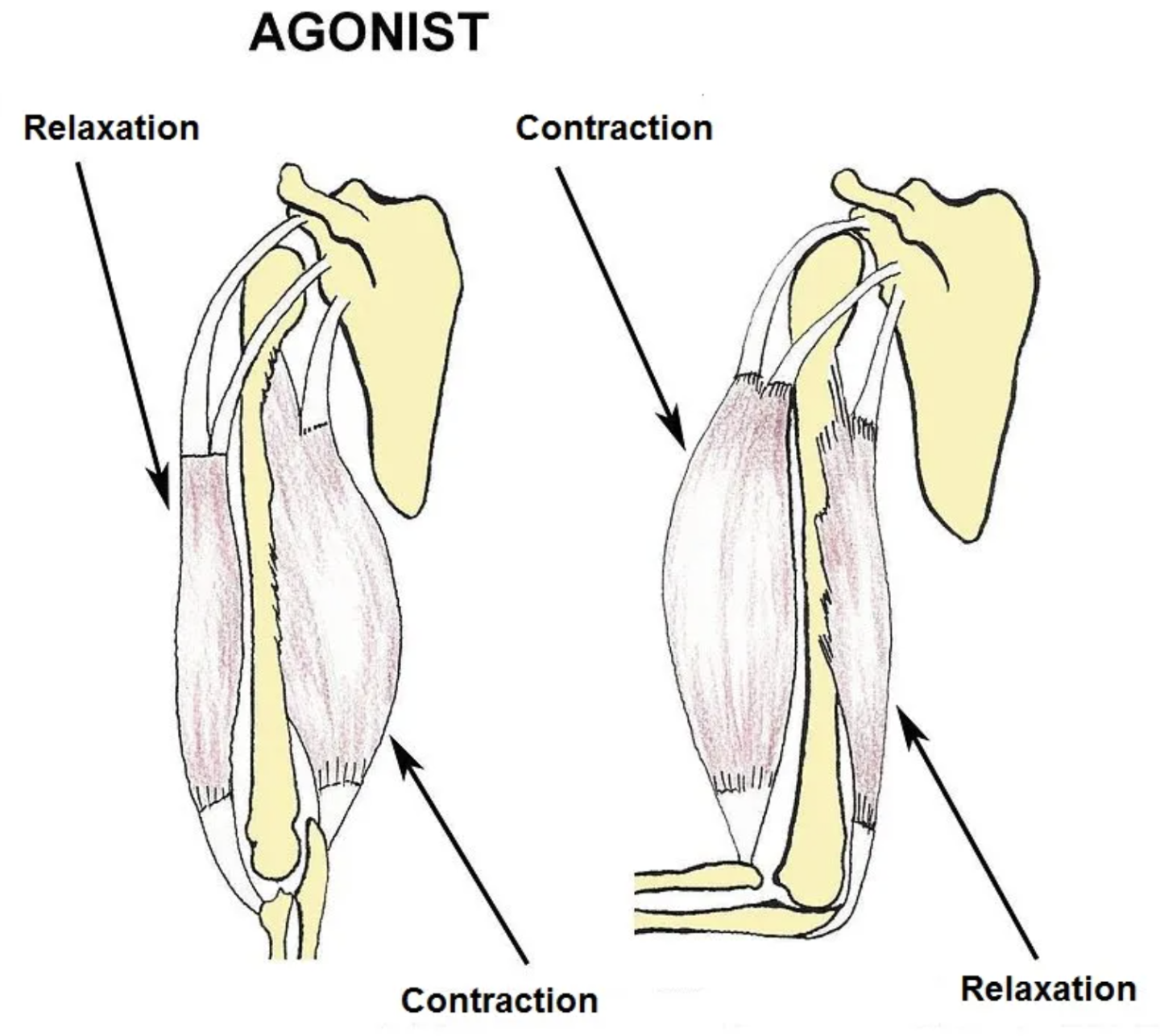 Screenshot 2023-12-26 at 12.42.52 PM.png Screenshot 2023-12-26 at 12.42.52 PM.png