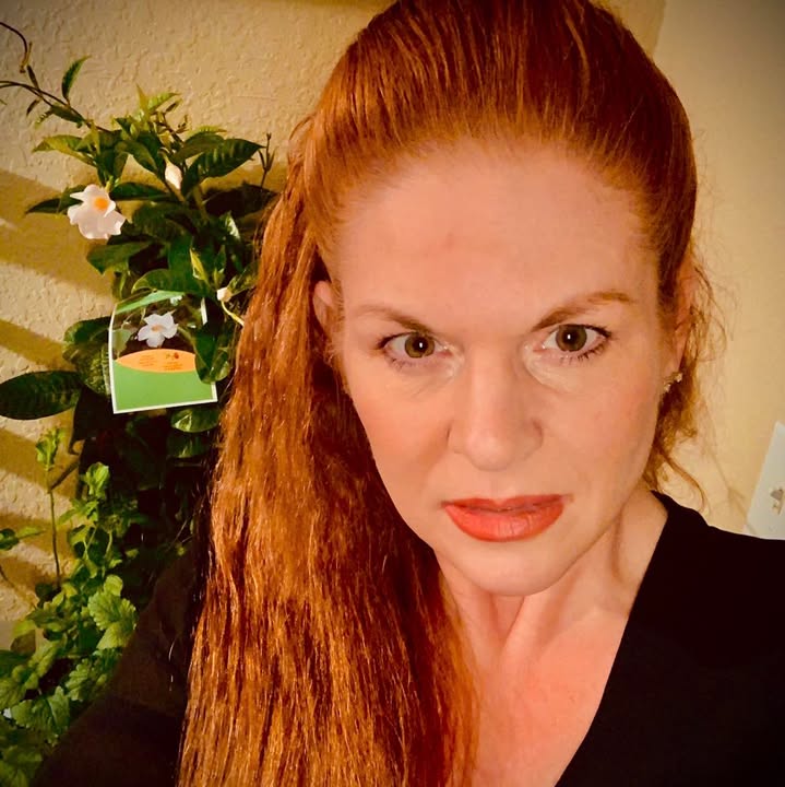 LeeAnne Stramer