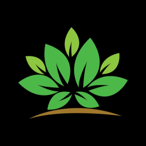 Phạm Thị Ngọc Phúc
