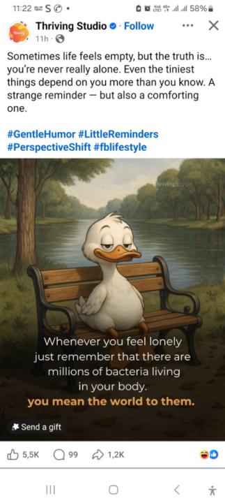 Farhana Ahned Suliman