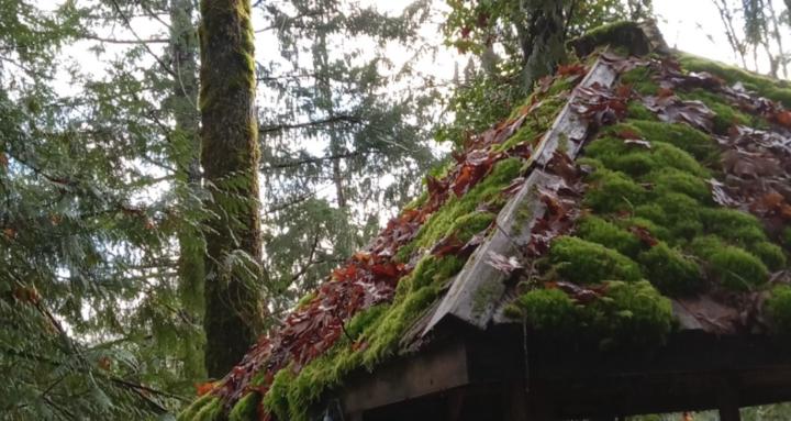 Stolen Rahs of the 1900s