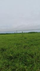 Omar Yesid Corrales Hernandez