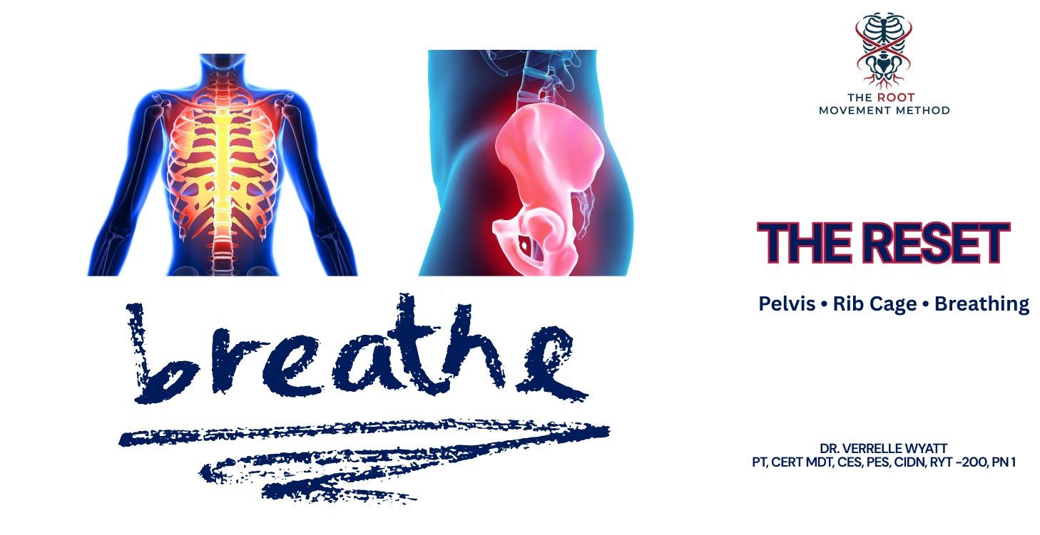 The Reset — Pelvis • Rib Cage • Breathing