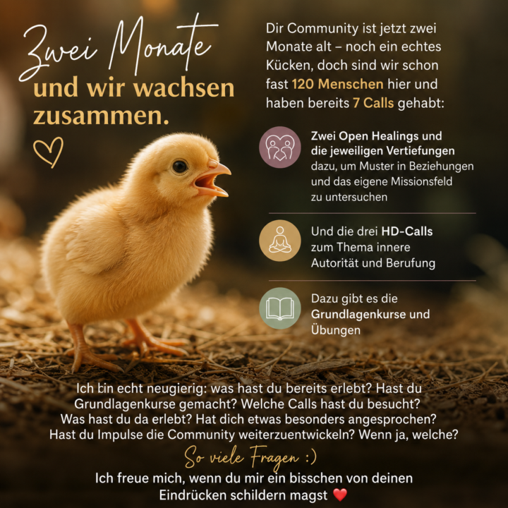 Was hast du bisher erlebt?