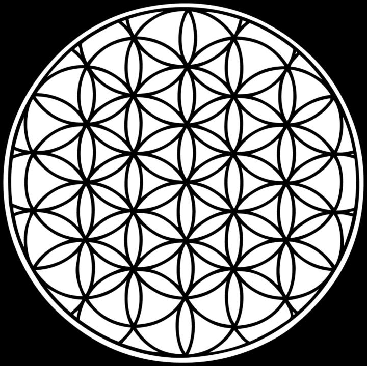 Aleksandar Krajišnik