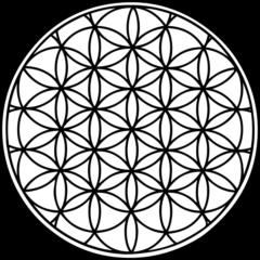 Aleksandar Krajišnik