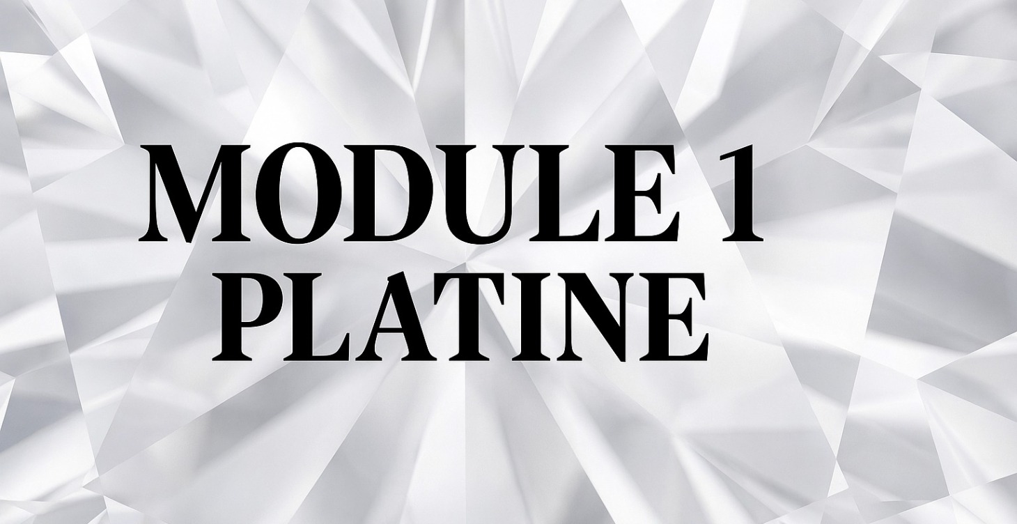 💎 MODULE 1 PLATINE : L’ART DE LA VENTE DE LUXE
