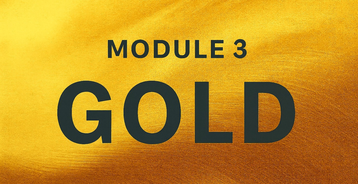 Module 3 – Création & Optimisation du Profil