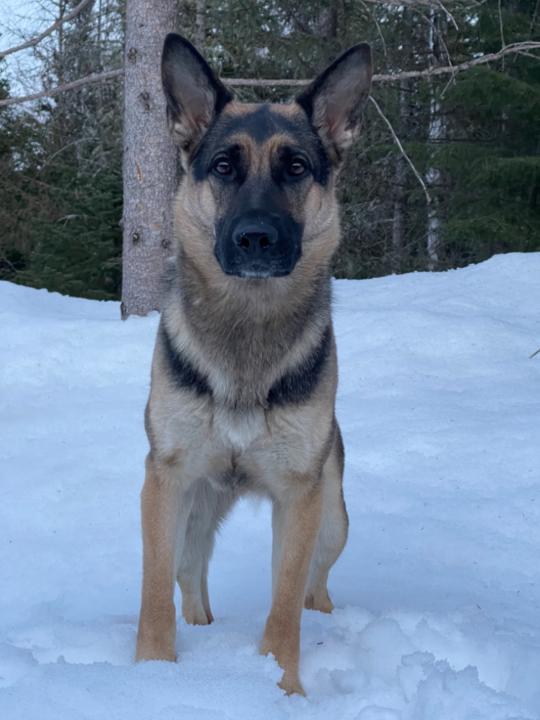 Rébecca Roussy Riopel