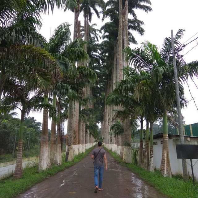 Diego Medina
