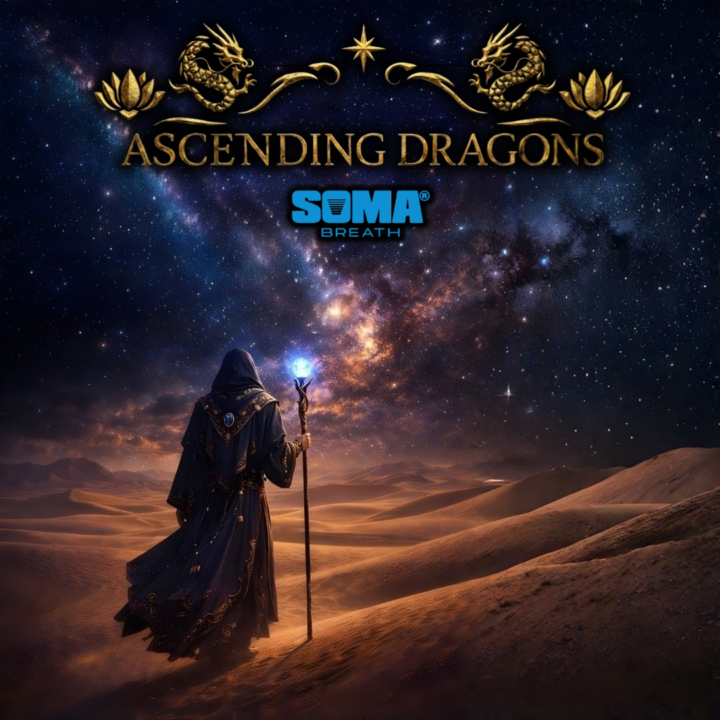 Testimonials & Experiences (21 Day Reset | SOMA Breath | A.D. Meditation)