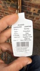 Mihai Silviu Dorobantu