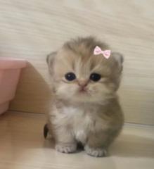 Ishika .. Aa