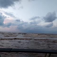 דורון גיזפאן