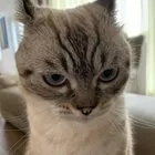 Miguel Ahumada Centeno