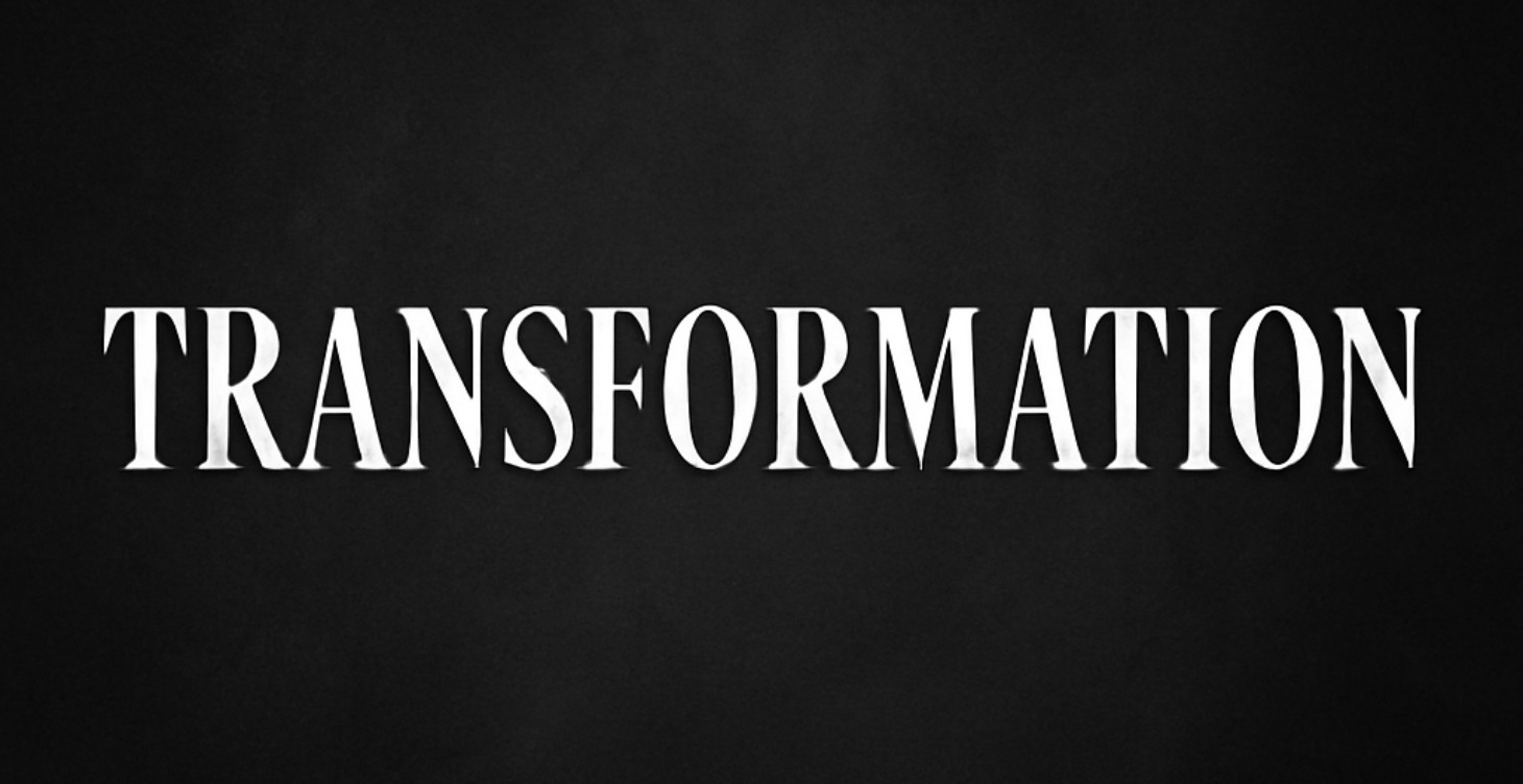 🔰 Level 0 : "Début de la transformation"